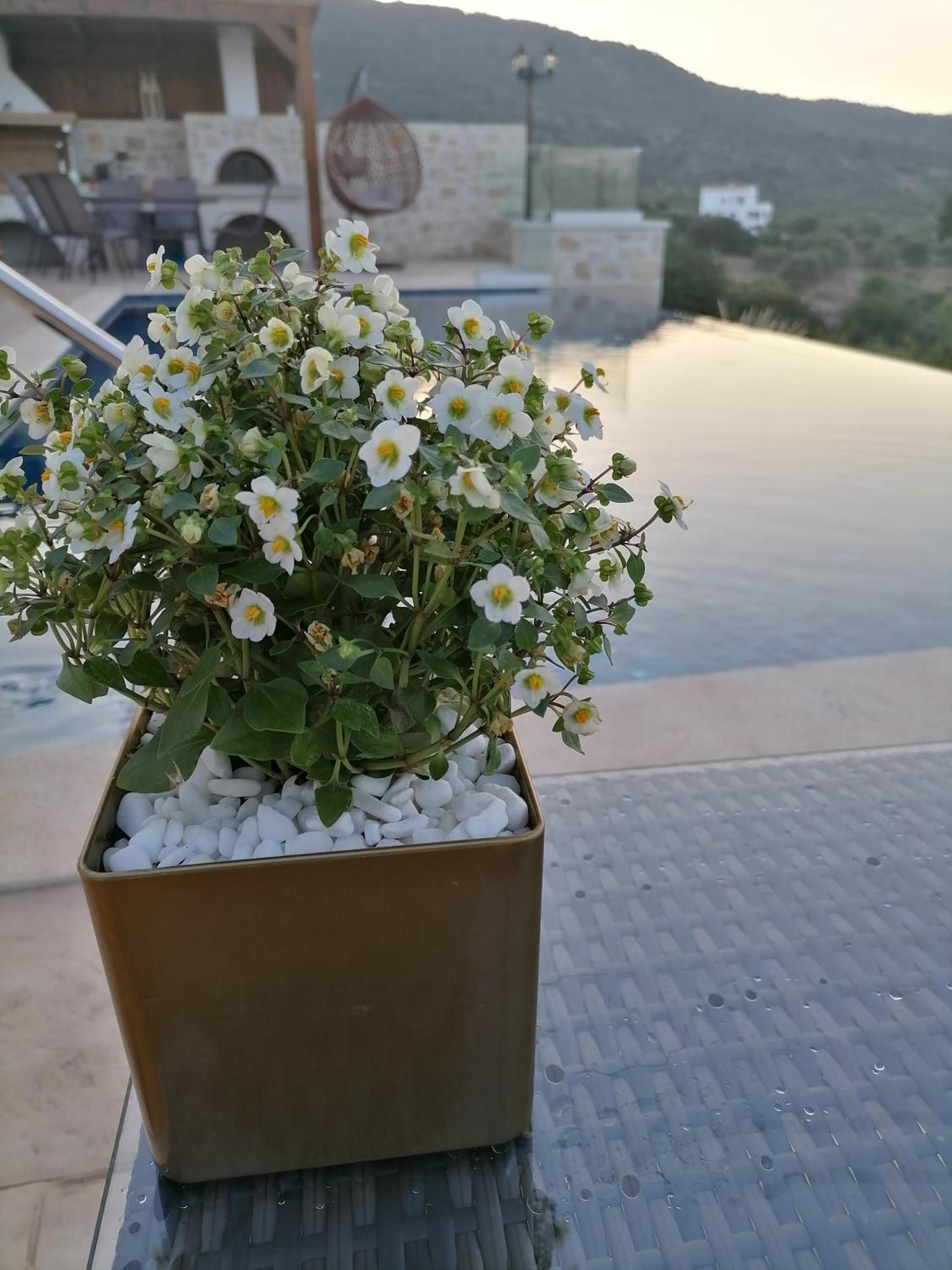 Villa Halepouri Chania  Exterior photo